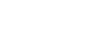 Max Financial Services